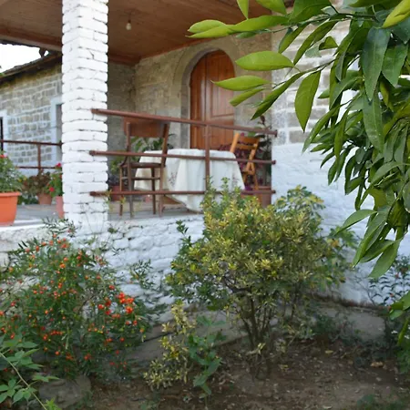 Pensjonat Marsi Zhaban